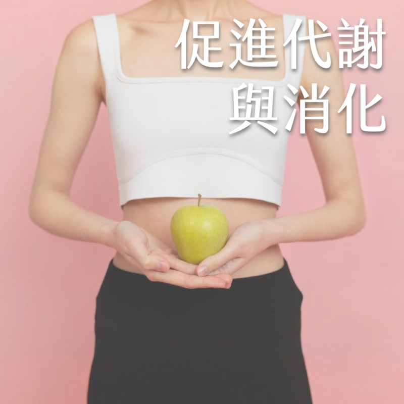 促進代謝與消化